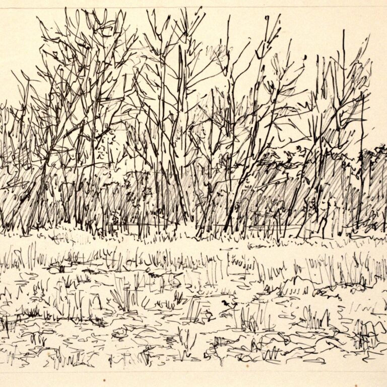 Karge Büsche - Paul-Oskar Seese 