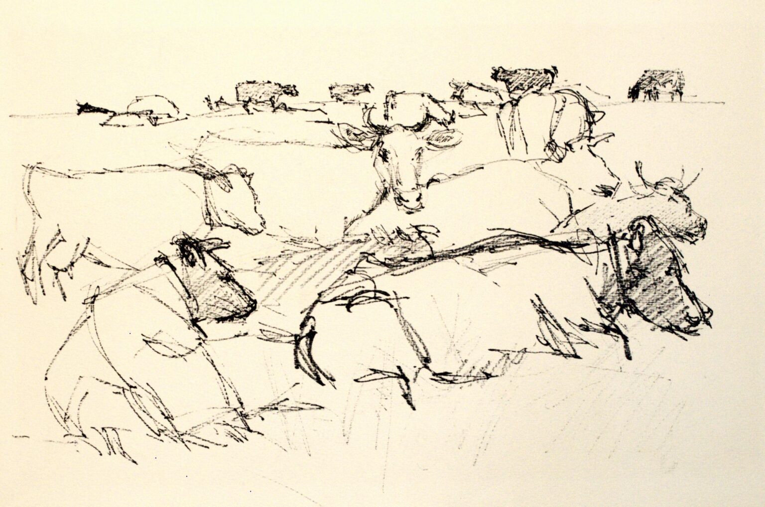 Kühe - Paul-Oskar Seese 