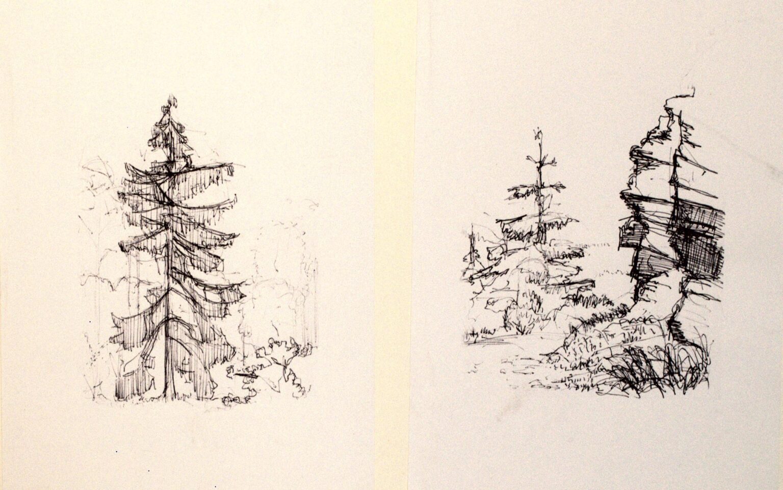 Zwei Baumskizzen - Paul-Oskar Seese 