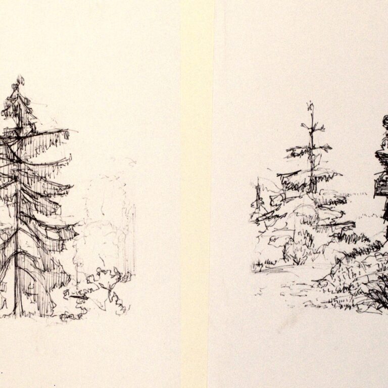 Zwei Baumskizzen - Paul-Oskar Seese 