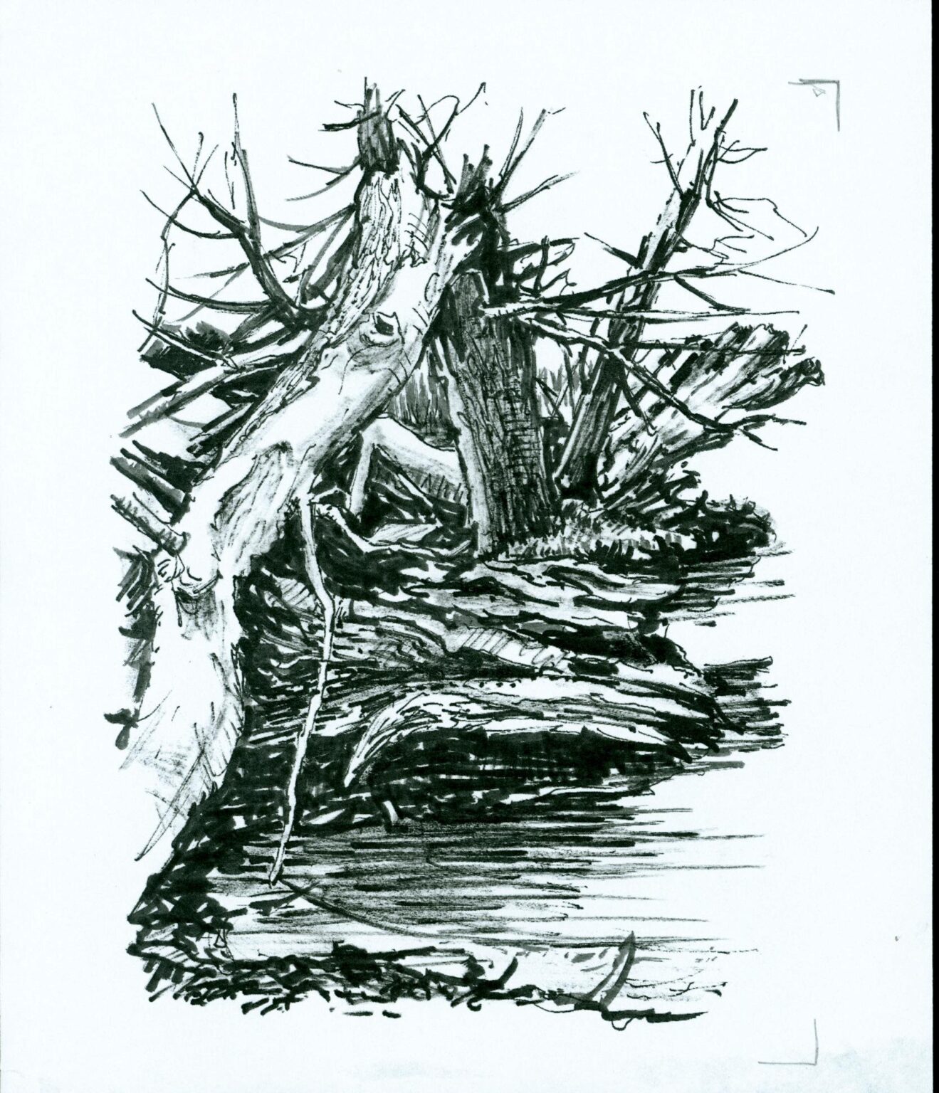 Toter Baum am Wasser - Paul-Oskar Seese 