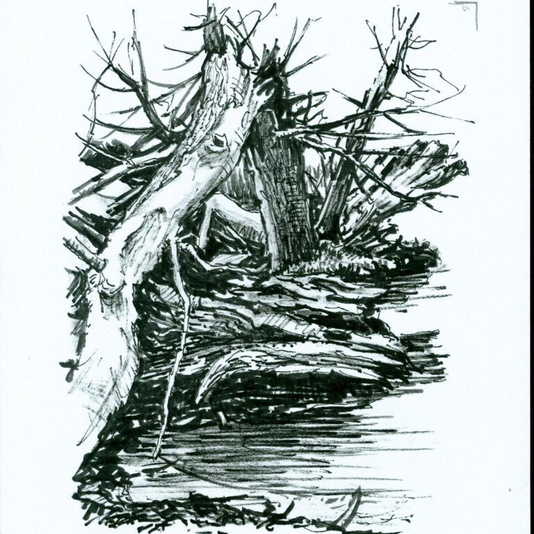 Toter Baum am Wasser - Paul-Oskar Seese 