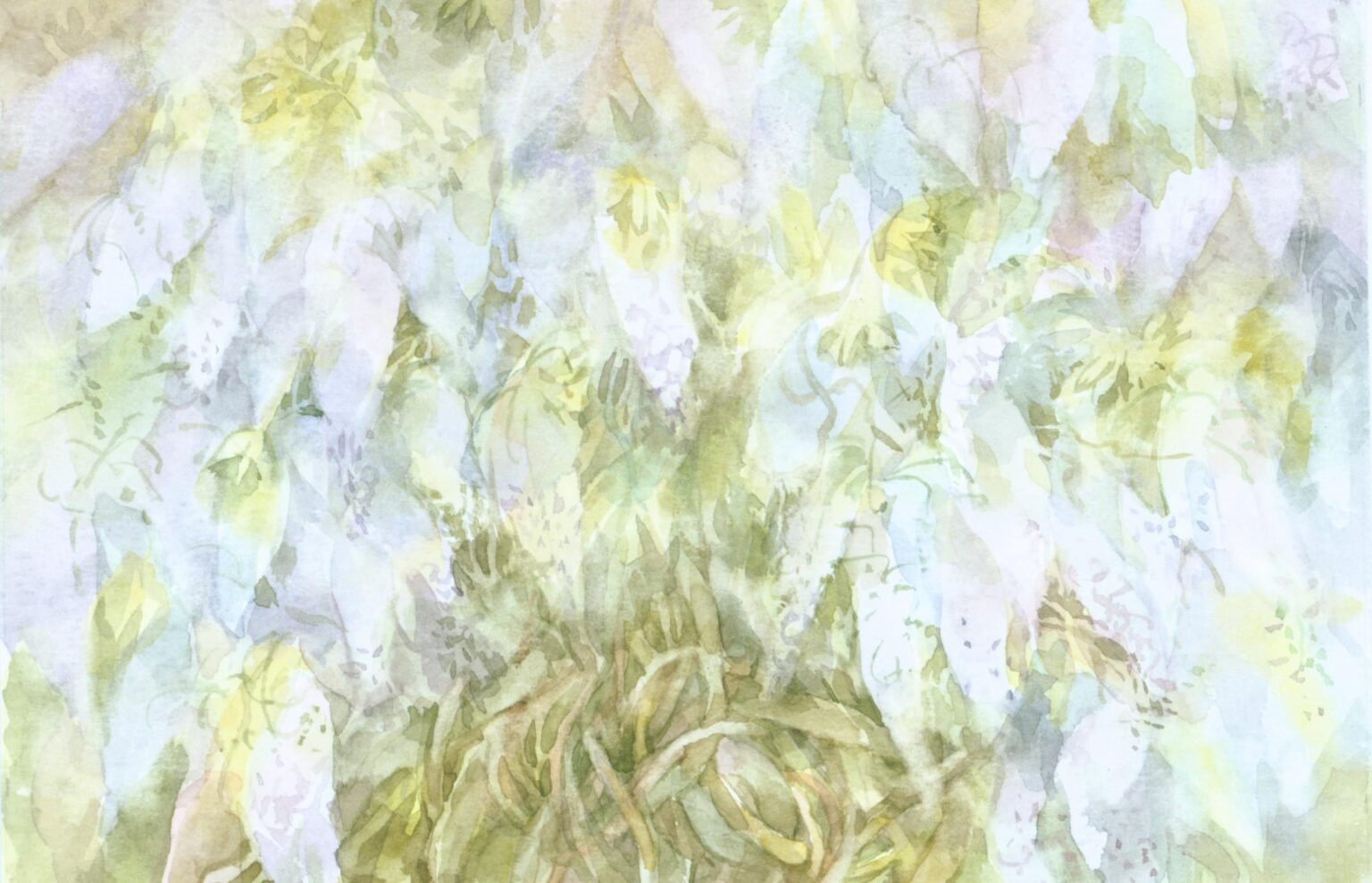 (Meckl) Blauregen - Helga Kaffke 