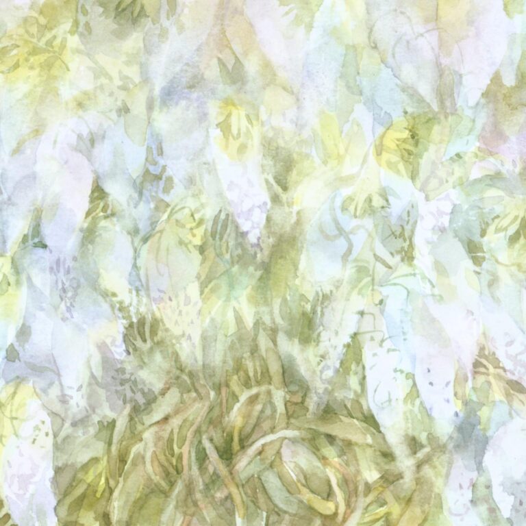 (Meckl) Blauregen - Helga Kaffke 