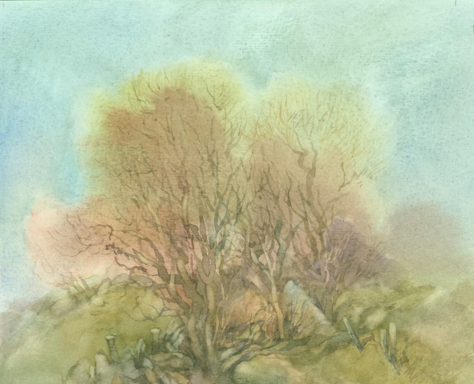 (Meckl) Versteckt - Helga Kaffke 