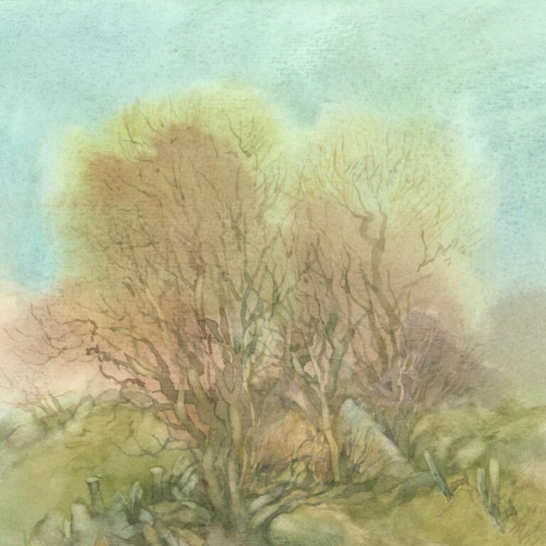 (Meckl) Versteckt - Helga Kaffke 