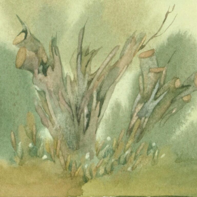 (Meckl) Baumstümpfe - Helga Kaffke 