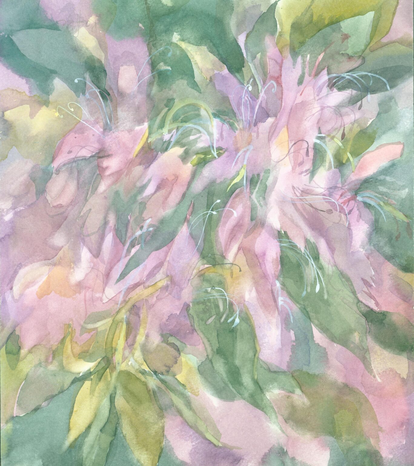 (Irl) Rhododendron - Helga Kaffke 