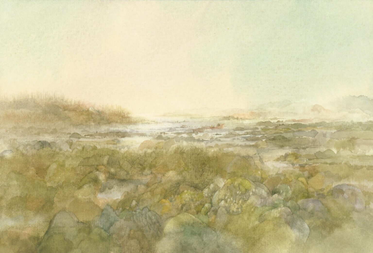 (Irl) Küste im Nebel - Helga Kaffke 