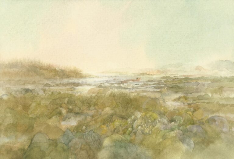 (Irl) Küste im Nebel - Helga Kaffke 