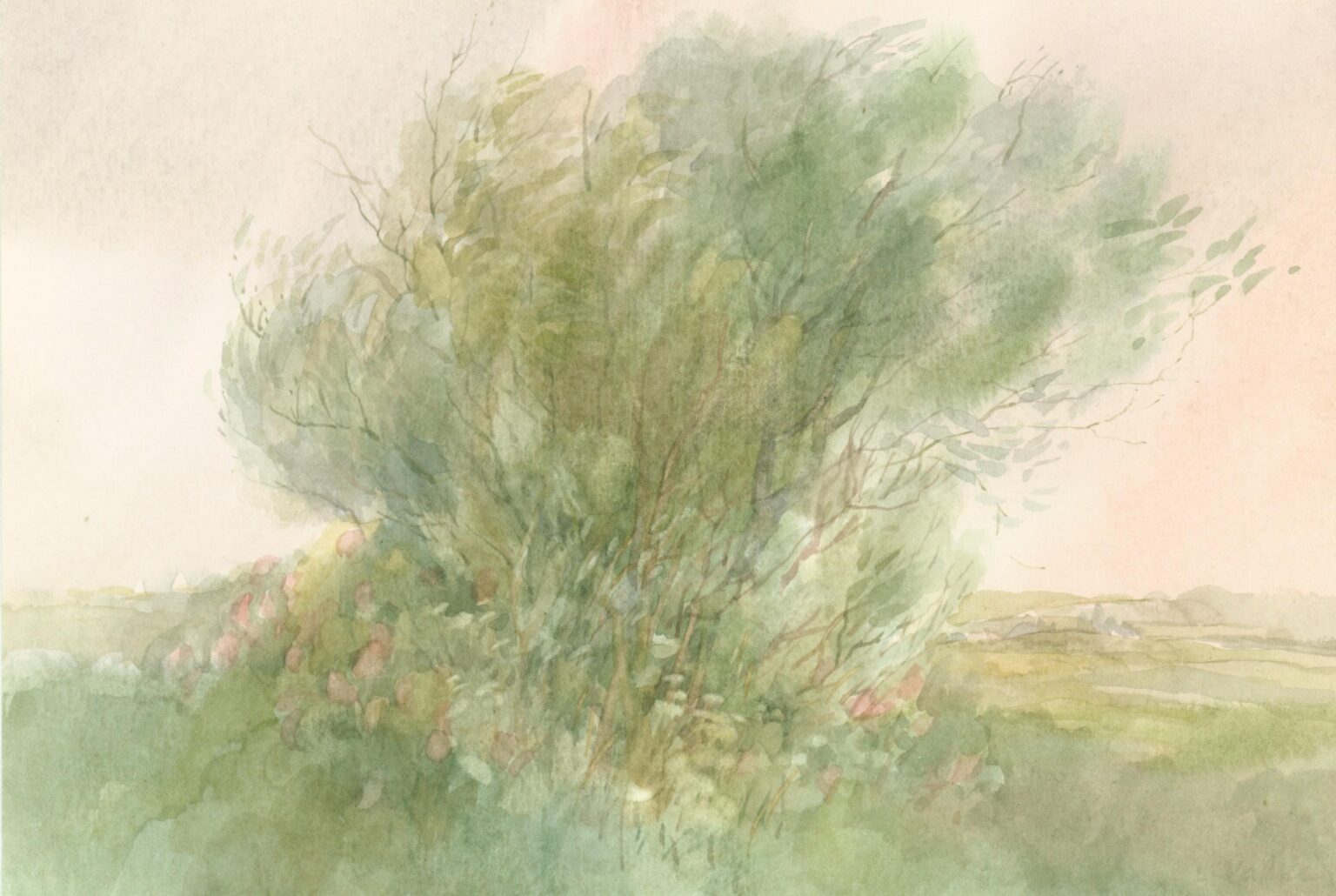 (Meckl) Über Land - Helga Kaffke 