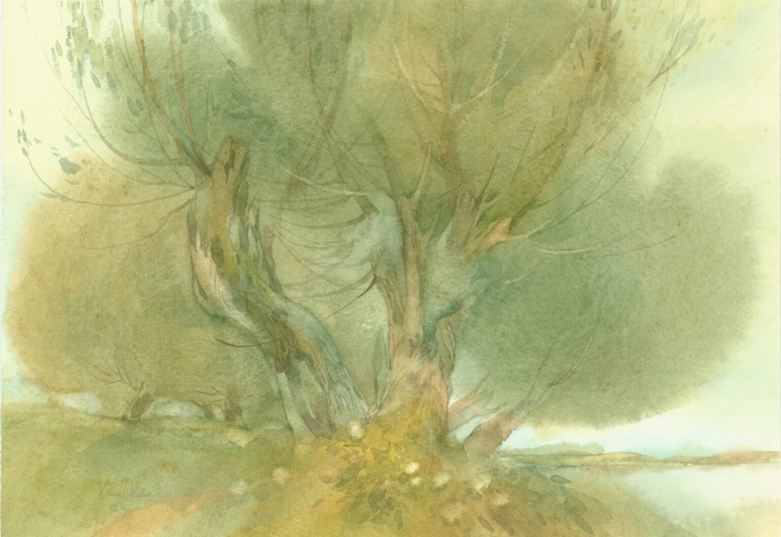 (Meckl) Weide am See - Helga Kaffke 