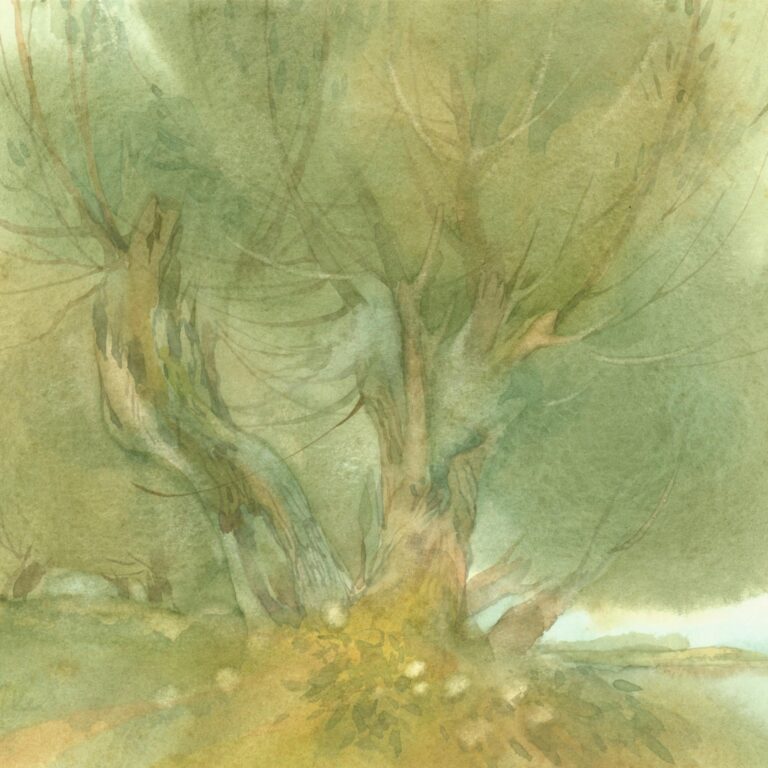 (Meckl) Weide am See - Helga Kaffke 