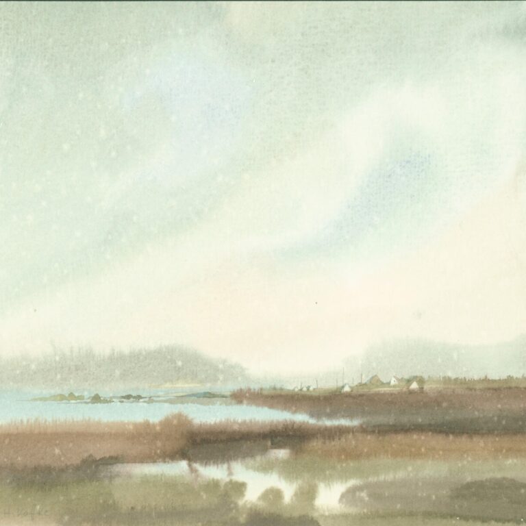 (Irl) Hochmoor im Regen - Helga Kaffke 