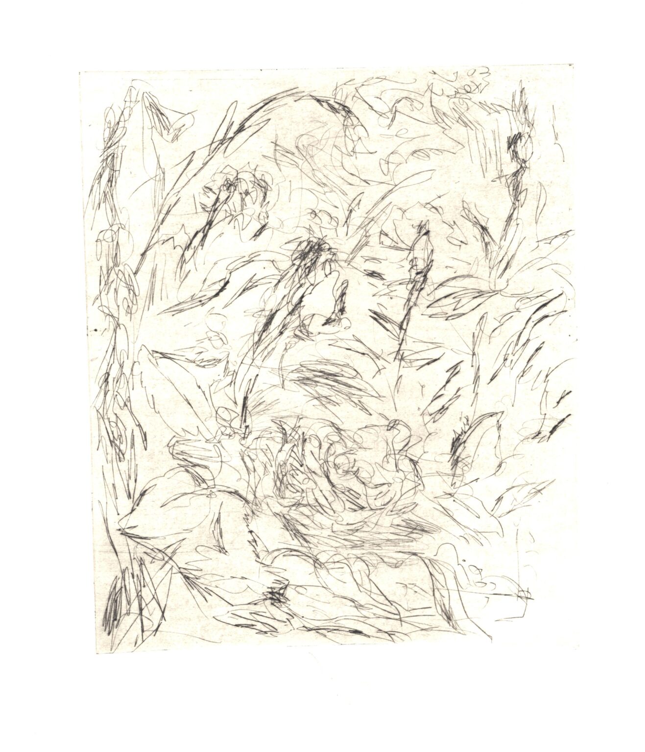 Im Garten 1 - Joachim John 