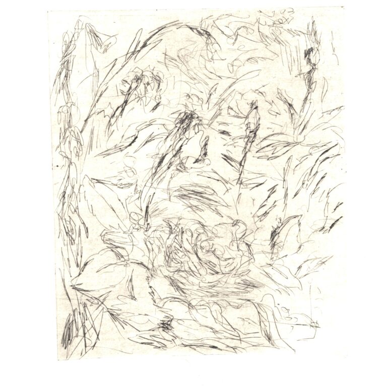 Im Garten 1 - Joachim John 