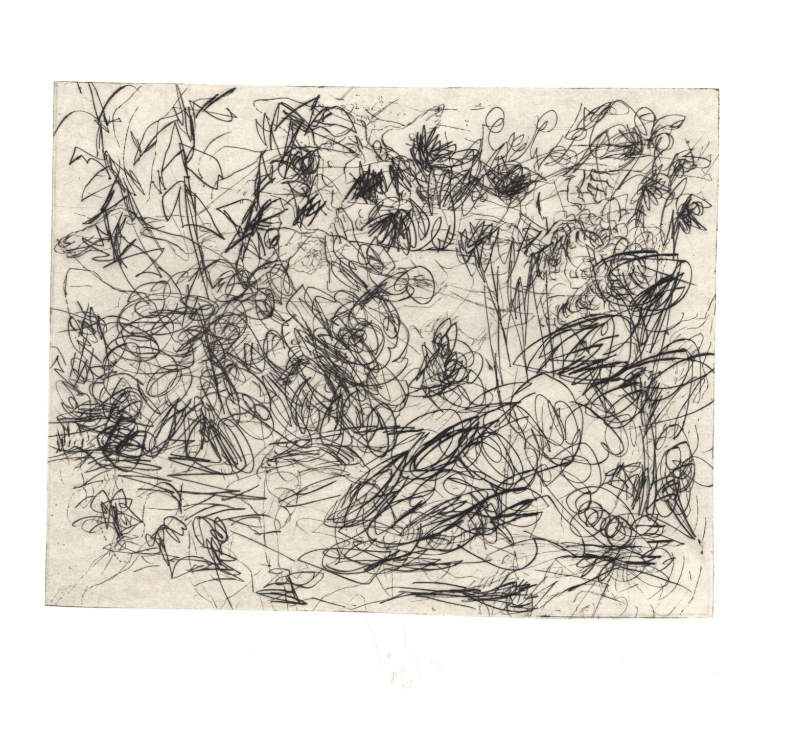 Im Garten 7 - Joachim John 