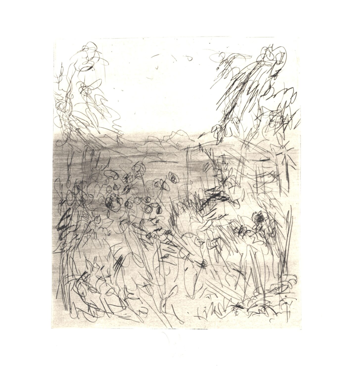 Im Garten 6 - Joachim John 