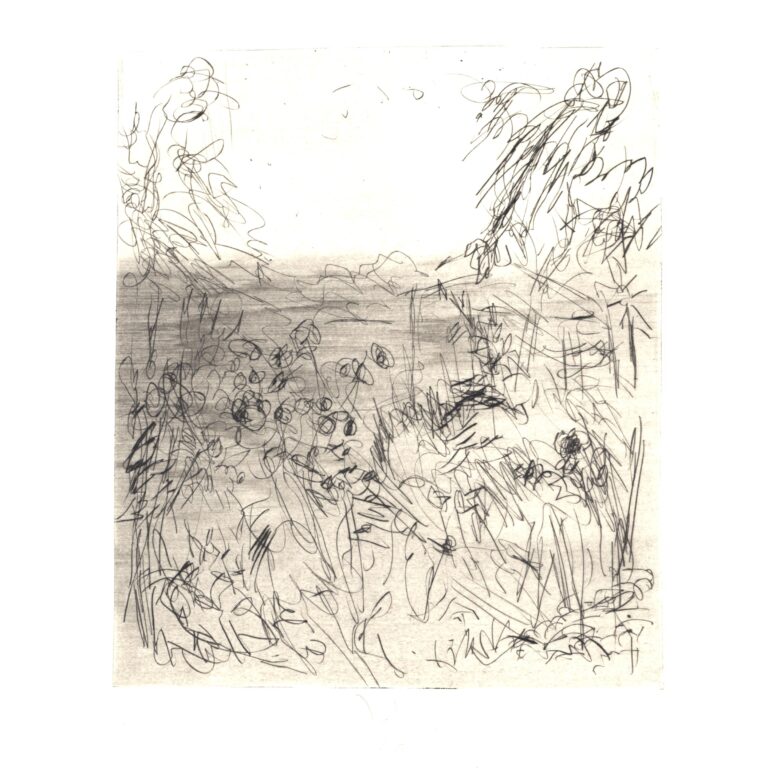 Im Garten 6 - Joachim John 