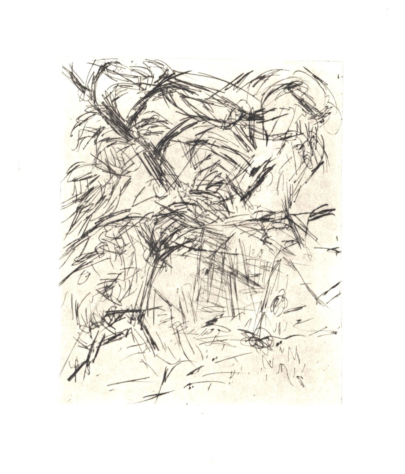 Im Garten 5 - Joachim John 