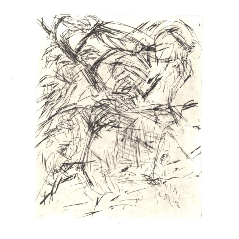 Im Garten 5 - Joachim John 