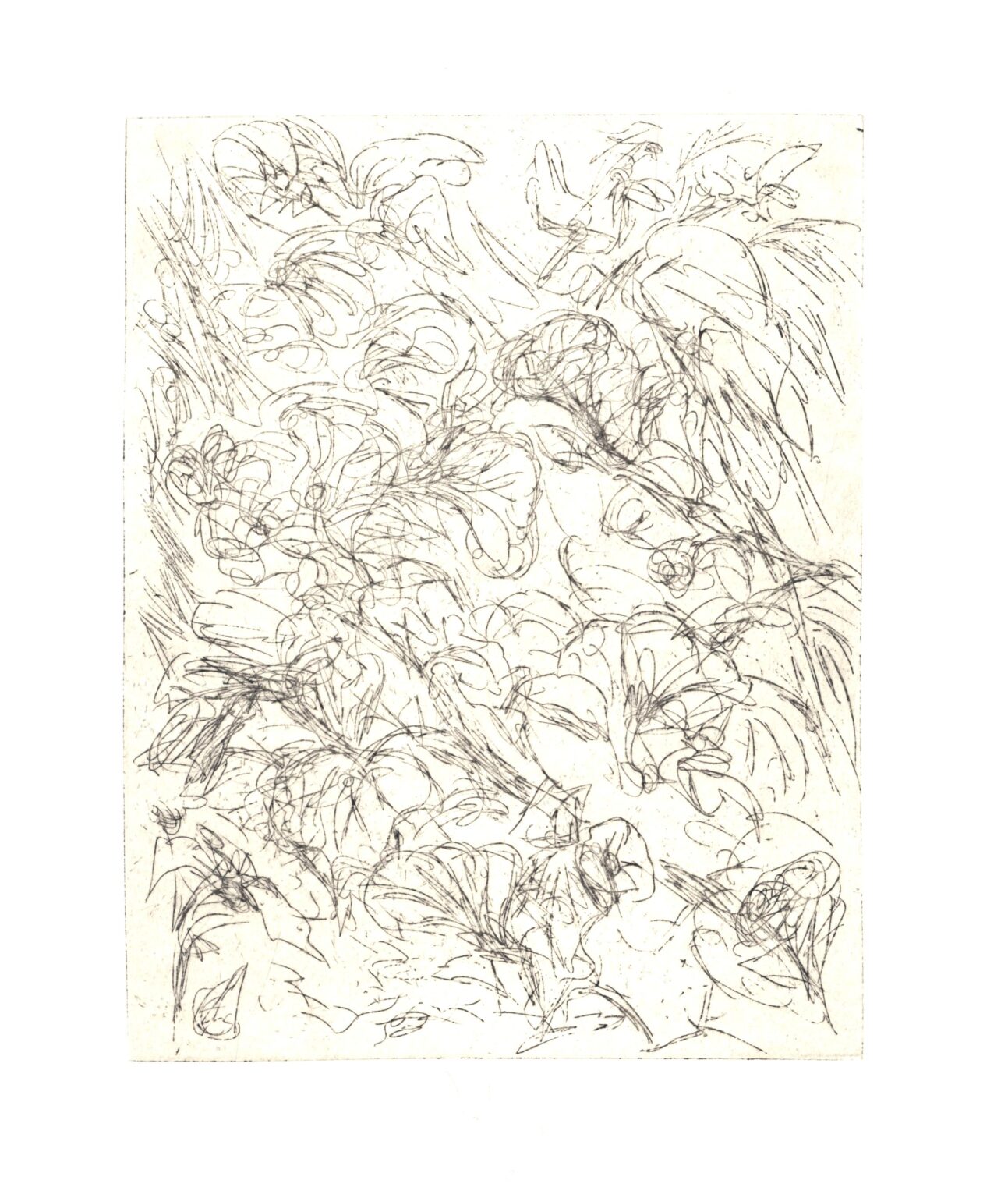 Im Garten 4 - Joachim John 