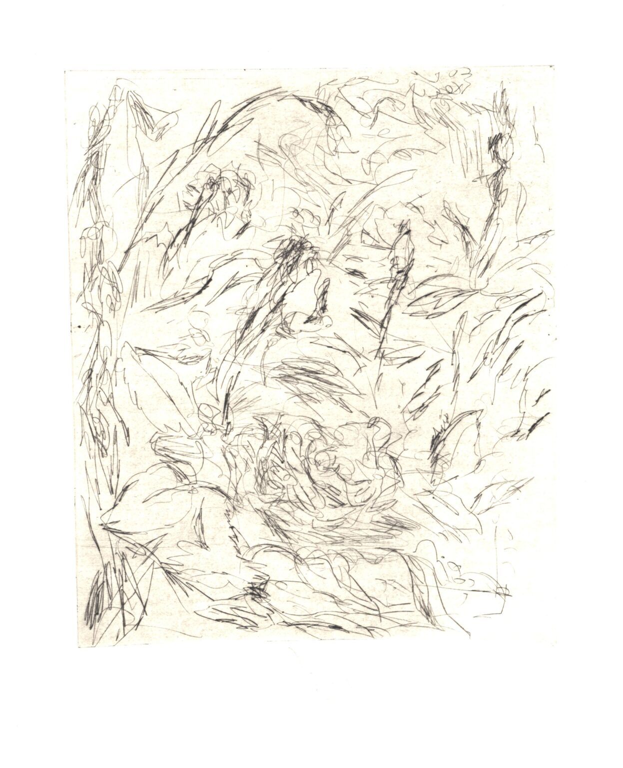 Im Garten 3 - Joachim John 