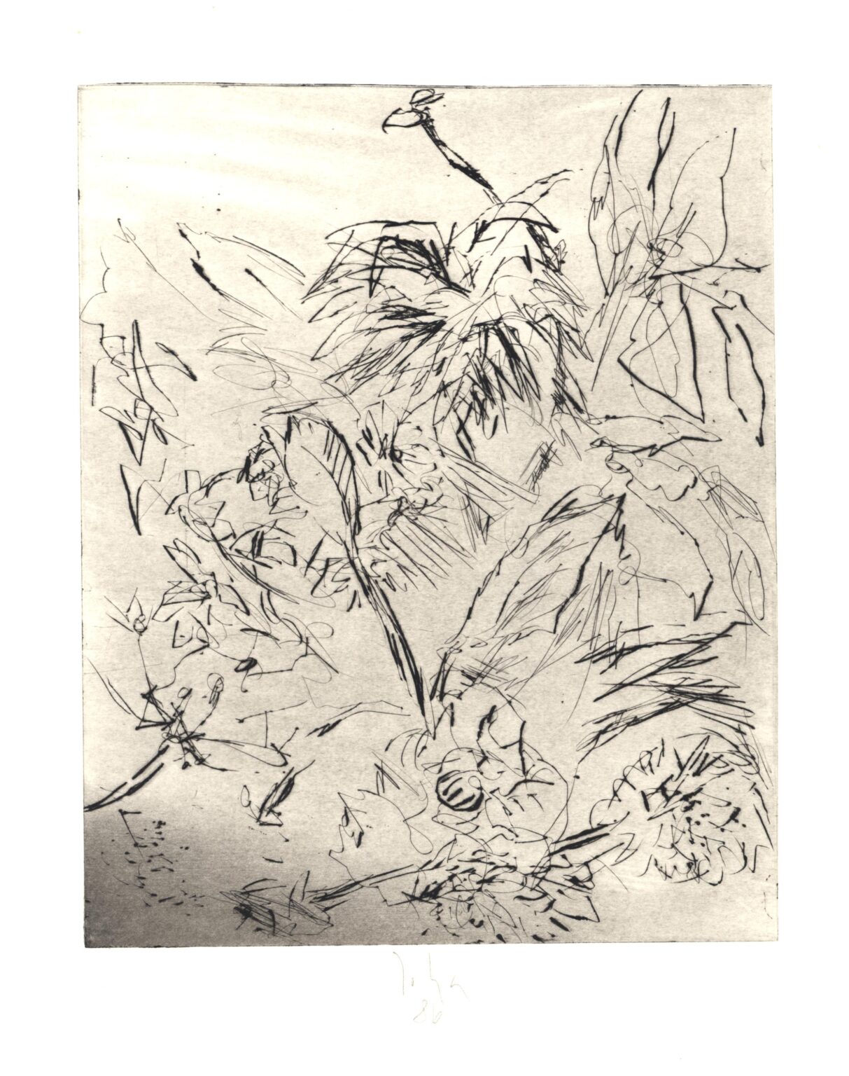 Im Garten 8 - Joachim John 