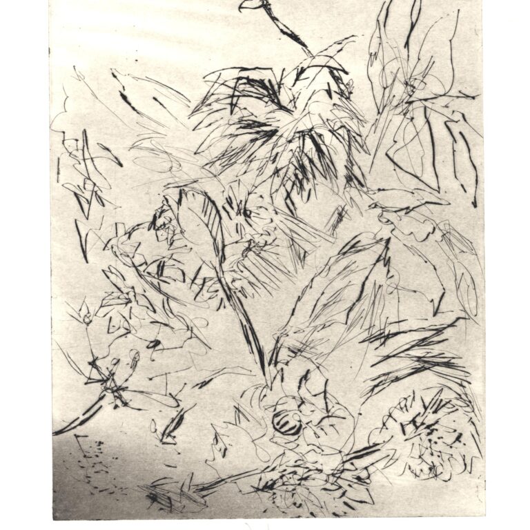 Im Garten 8 - Joachim John 