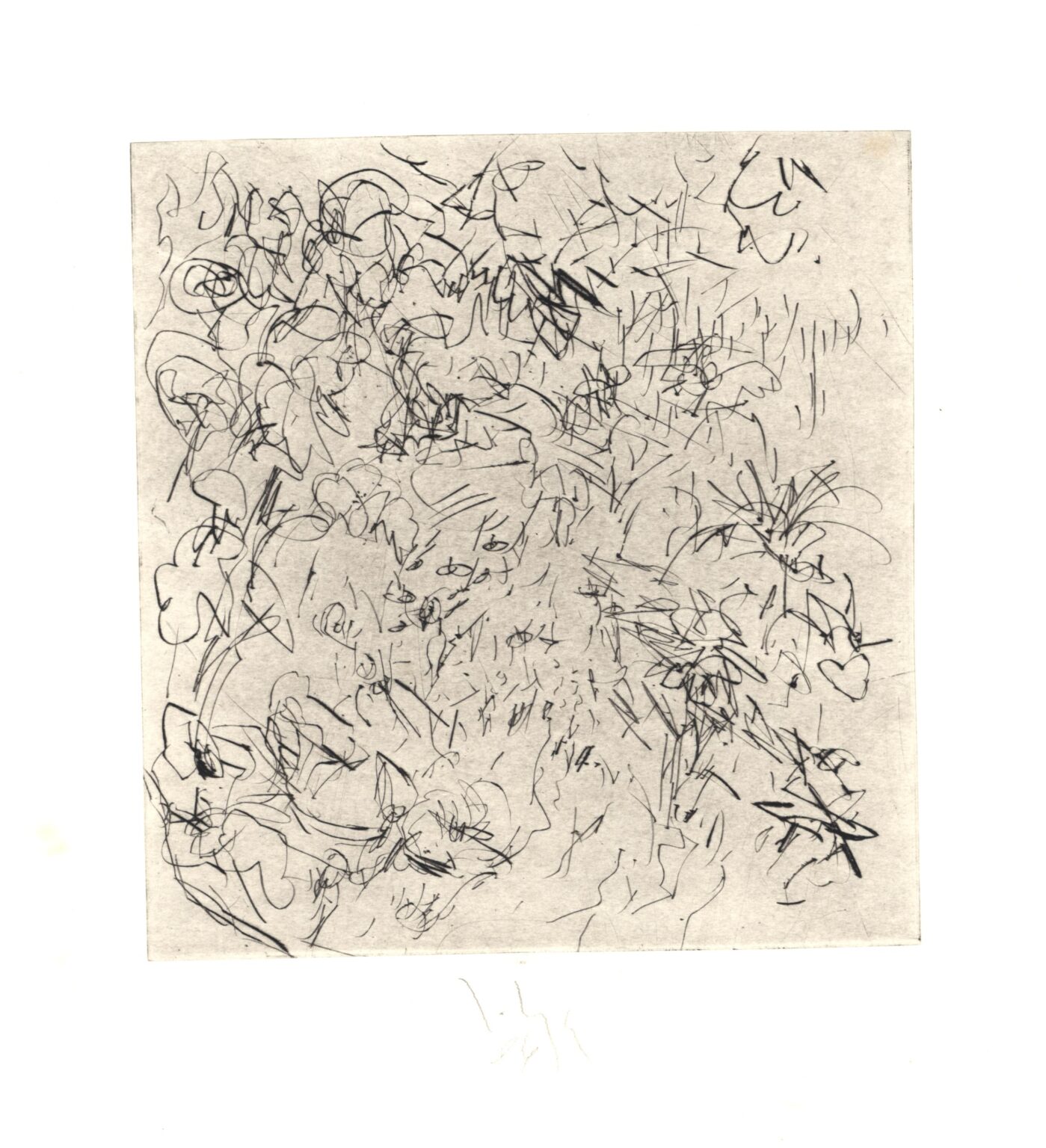 Im Garten 10 - Joachim John 