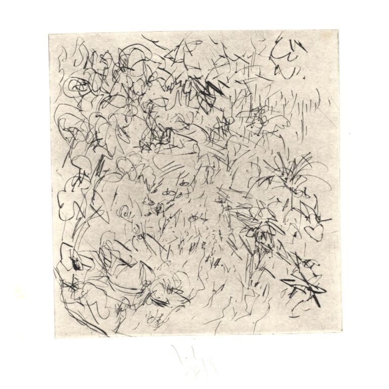 Im Garten 10 - Joachim John 