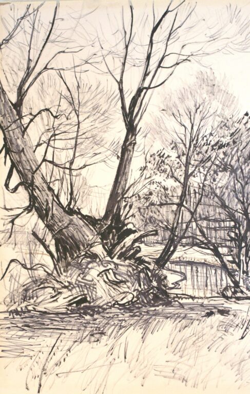 Weide am See - Paul-Oskar Seese 