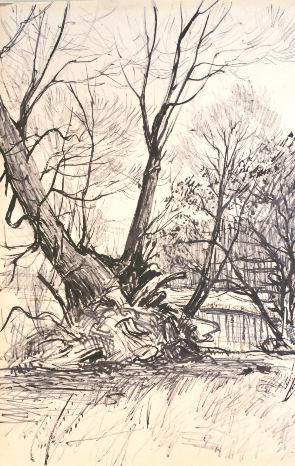 Weide am See - Paul-Oskar Seese 