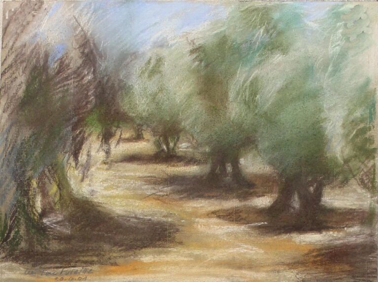 Olivenhain bei Fontvieille / Provence - Klaus Illner 