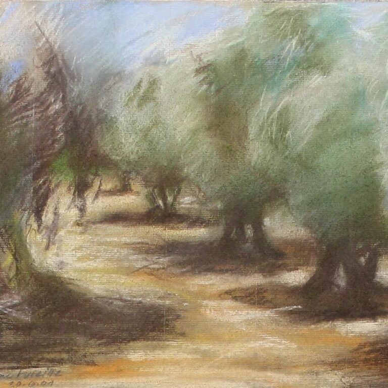 Olivenhain bei Fontvieille / Provence - Klaus Illner 
