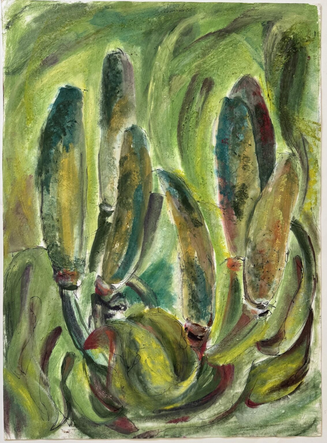 Philodendron - Gerhard Reinisch 
