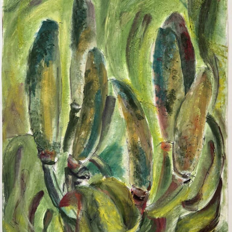 Philodendron - Gerhard Reinisch 