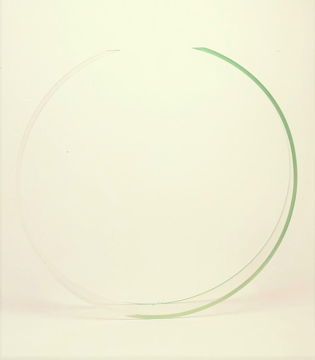 007 acryl - nelly rudin 