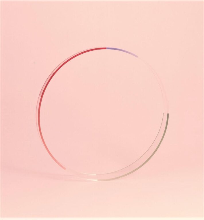 007 acryl - nelly rudin 
