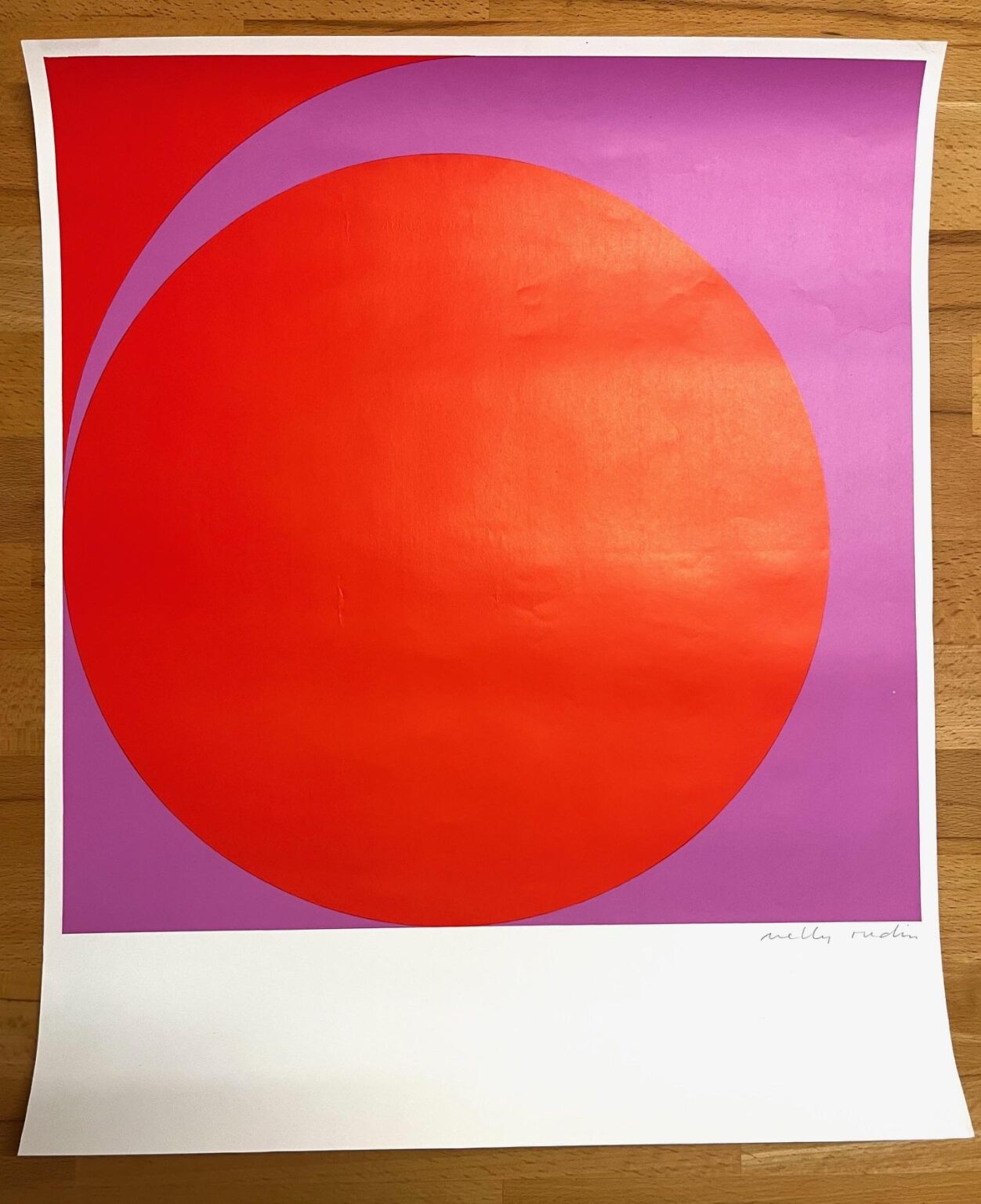 plakat signiert, beschnitten - nelly rudin 