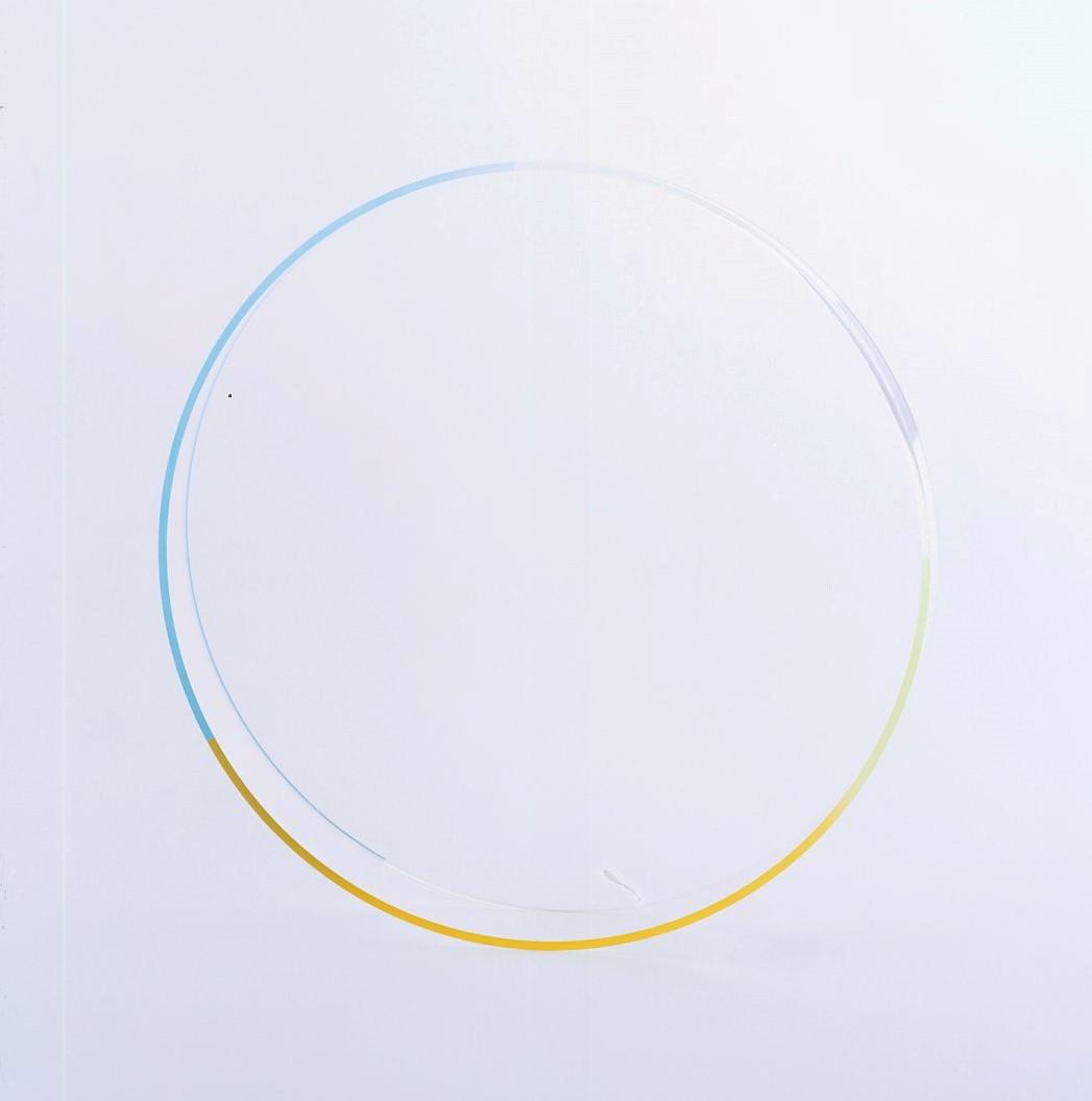 020 acryl - nelly rudin 