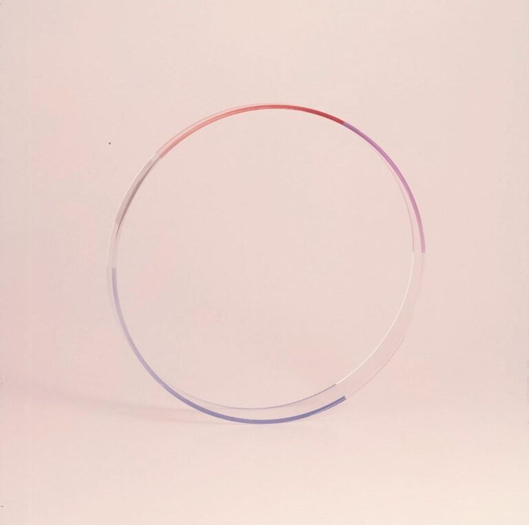 006 acryl - nelly rudin 