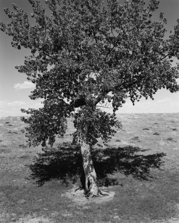 North of Purcell on the Pawnee National Grassland, Colorado - Robert Adams 