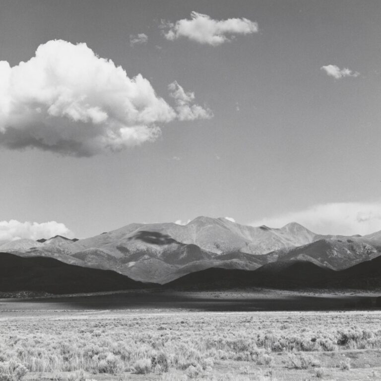 The Discovery of Form - Robert Adams 