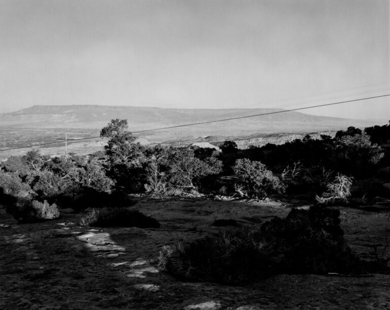 Grand Mesa, Mesa County, Colorado - Robert Adams 
