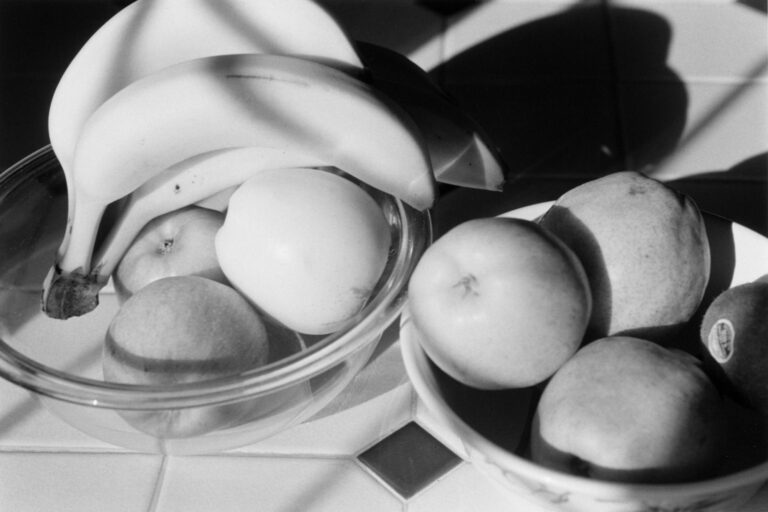 Manzanita - Robert Adams 