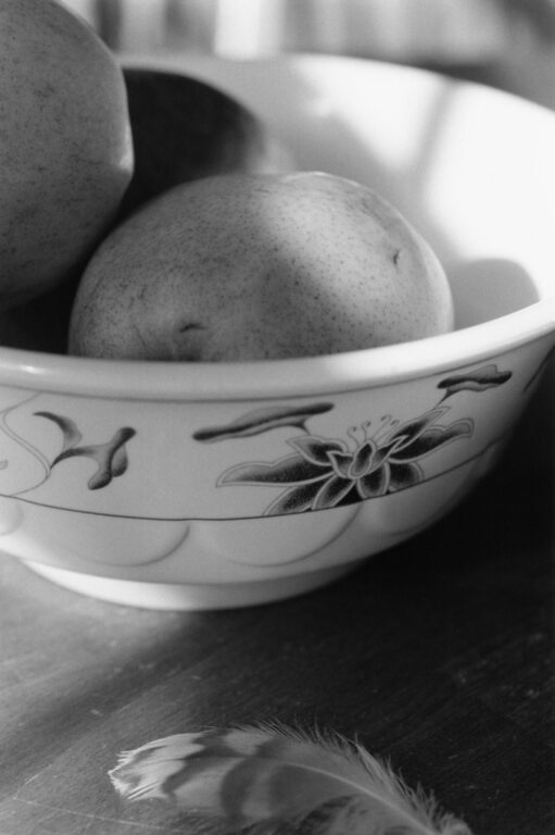 Manzanita - Robert Adams 