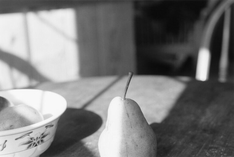 Manzanita - Robert Adams 