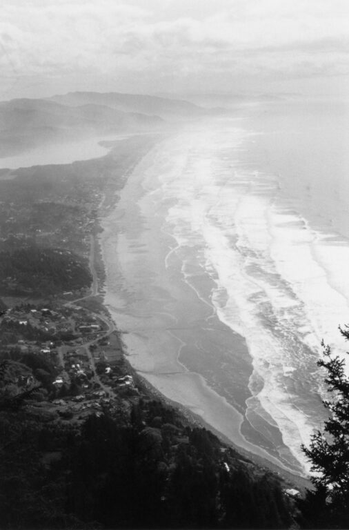 Manzanita - Robert Adams 