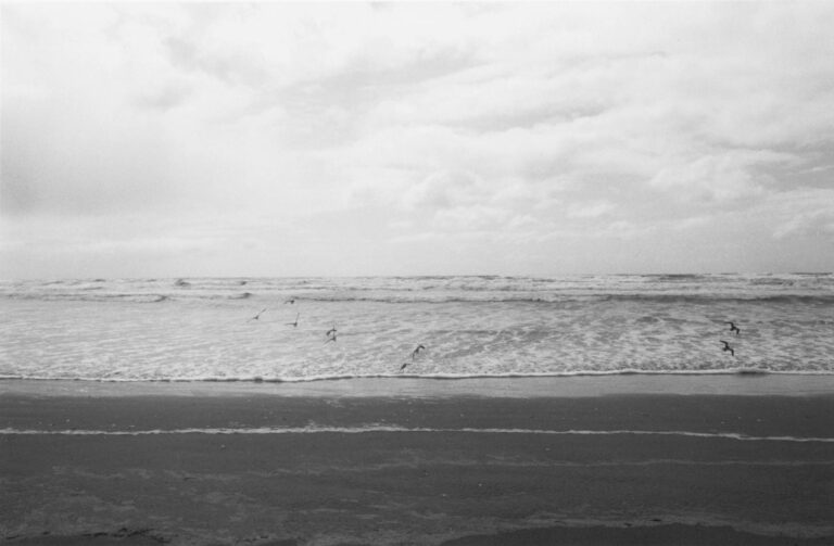 North Beach Peninsula, Washington - Robert Adams 
